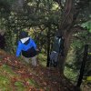 041024_Brunhilde_P1010065